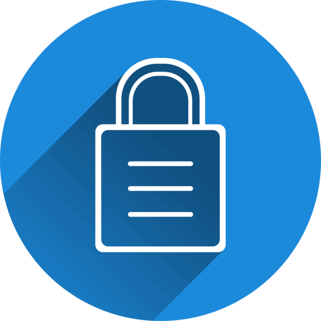 Free castle security locked vector